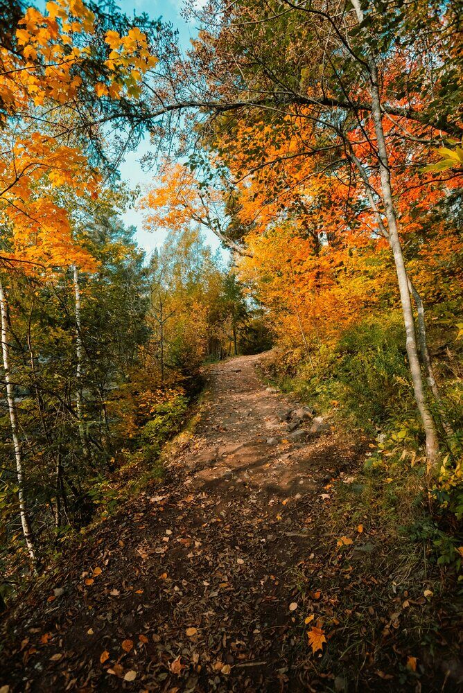 St Cloud